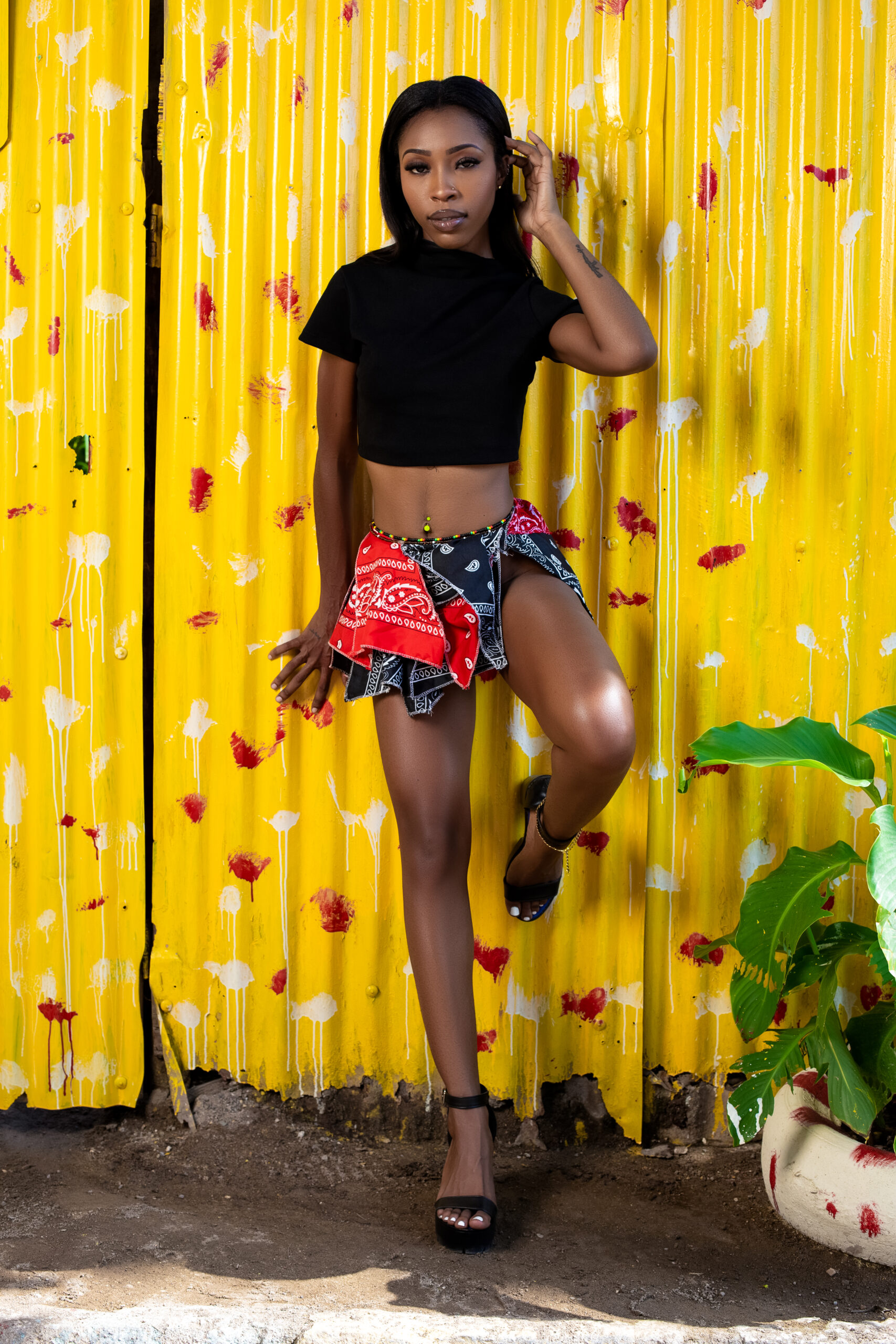 Dis is Dancehall by Aura Koutura-Mile High