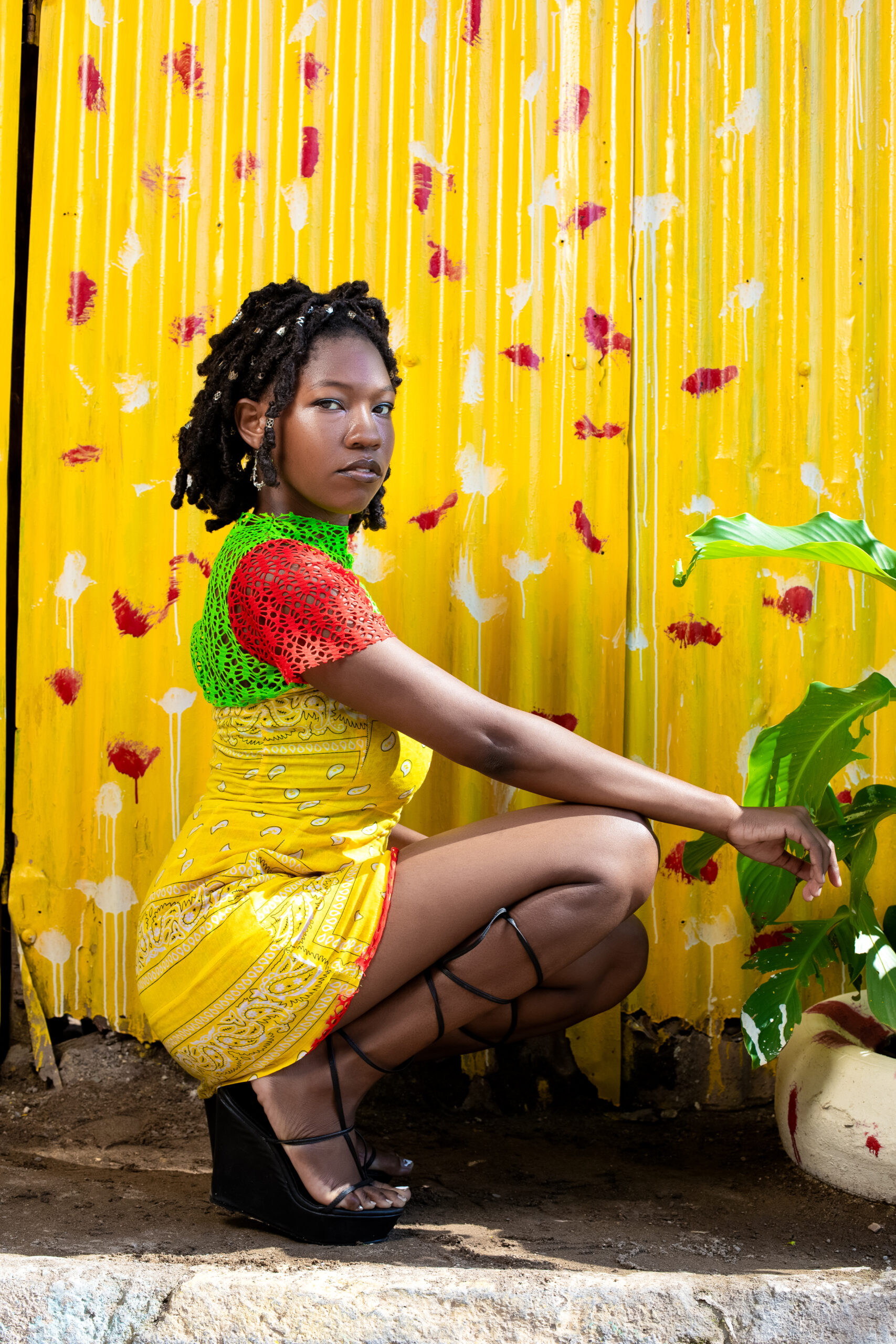 Dis is Dancehall by Aura Koutura - Ignite