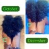 Essentials by Renae Myrie-Inches -Hair Growth Serum- (Perfect for Locks)