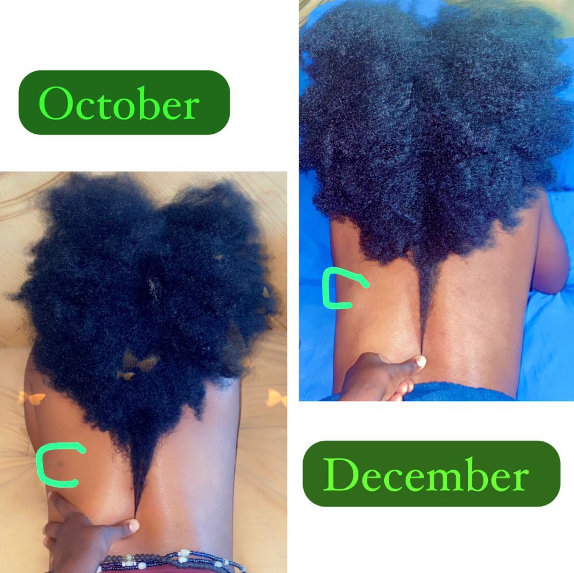 Essentials by Renae Myrie-Inches -Hair Growth Serum- (Perfect for Locks)